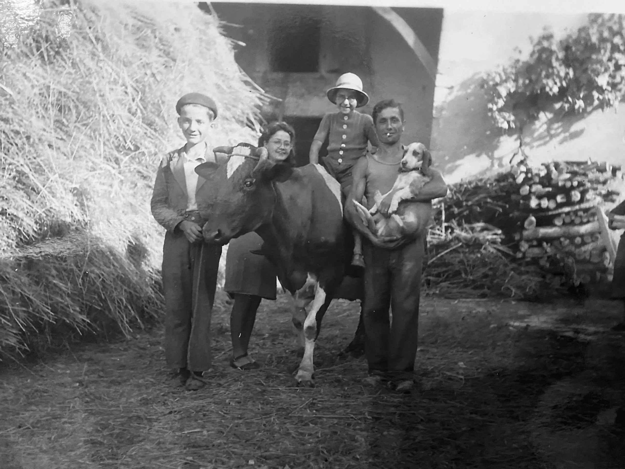 Vignes anciennes du Domaine de Lapistoule, héritage familial depuis 1860